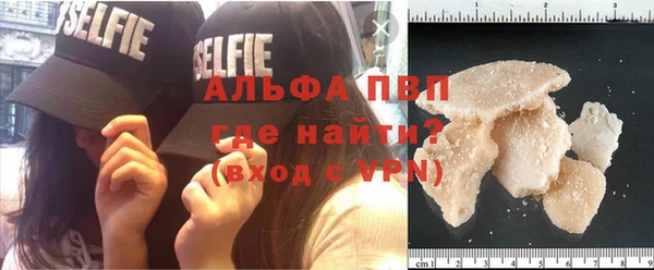 гашик Баксан