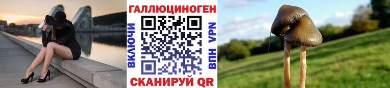 Псилоцибиновые грибы прущие грибы  наркота  Устюжна 